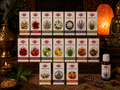 Esencias Aromáticas HEM · India | Caja x 12 frascos